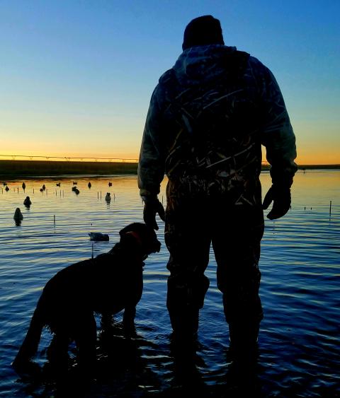 Waterfowl hunter and dog in wetland at sunrise