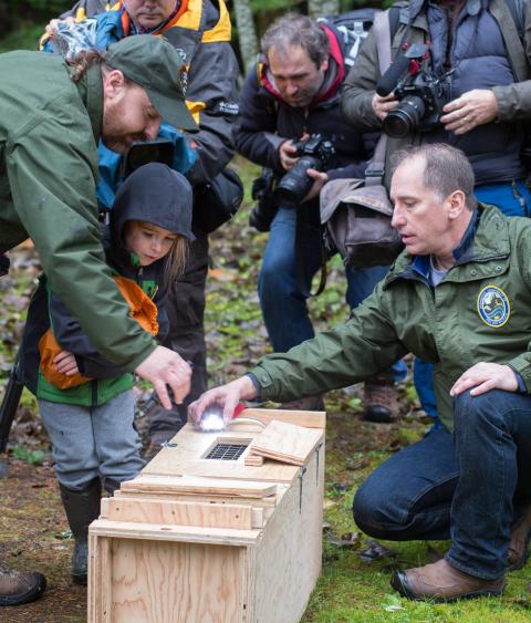 Washington Department of Fish and Wildlife Biologist Prepares to Release a Fisher for Reintroduction
