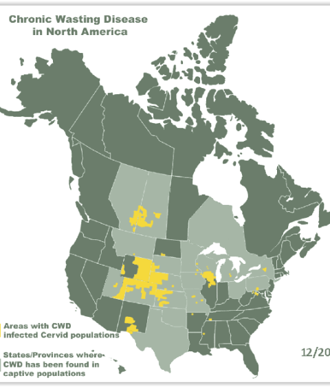 North American CWD Map