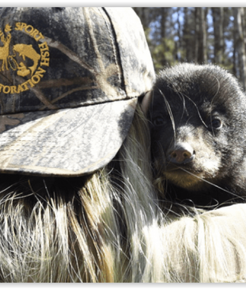 WSFR staff with bear cub