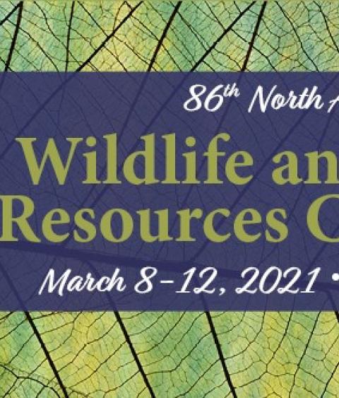 86th North American Conference Banner