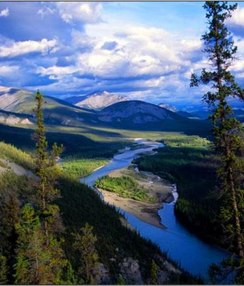 The analysis includes the identification of a suite of candidate benchmark networks options for ecoregions across the study area. The network options can be ranked and refined to best contribute to regional land use plans and associated conservation goals.