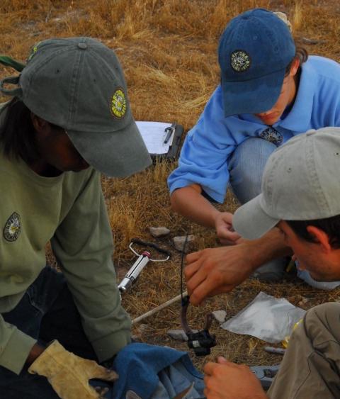Arizona Game and Fish staff in the field
