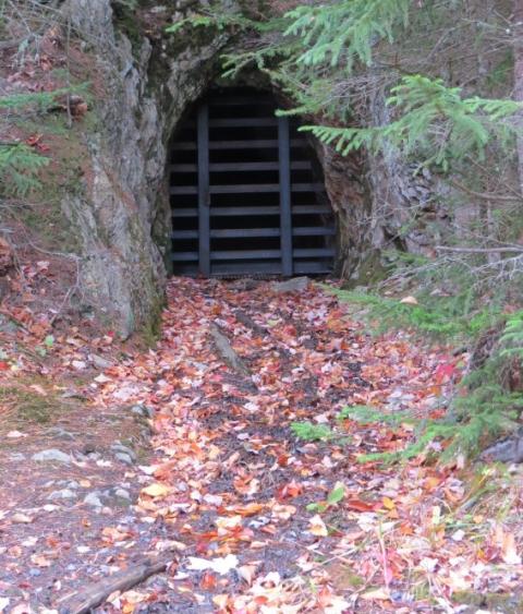 The New Hampshire Fish and Game department’s Nongame and Endangered Wildlife Program installed a new gate at a mine in New Hampshire through funding from the RCN grants program and matching funds from the NH Conservation License Plate Program. The gate keeps bats inside protected from human disturbance during hibernation.