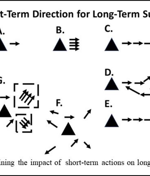 Diagram showing impact of short term actions on long term success