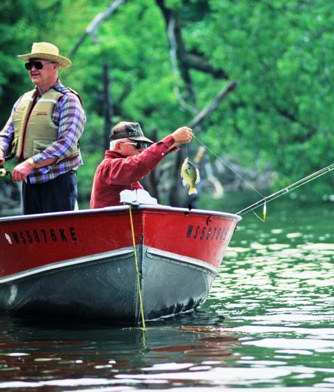 People fishing from a boat