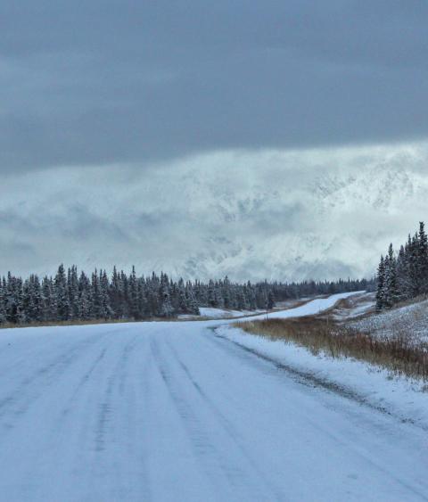 image of boreal landscape