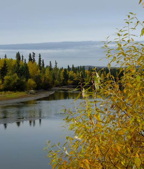 Chena River in Alaska