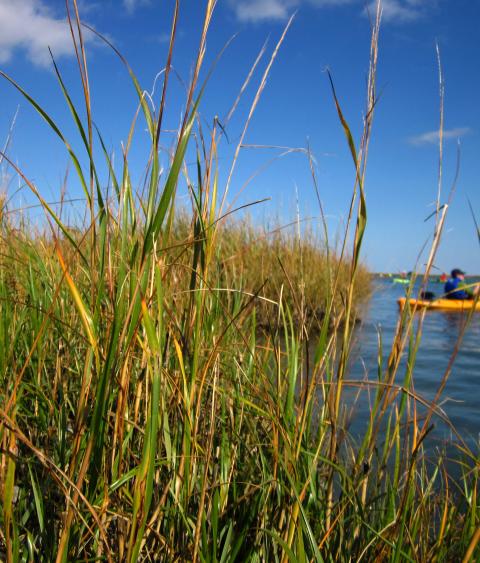 Kayak in Cheseapeake Bay