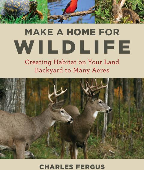 Make A Home For Wildlife Book Cover