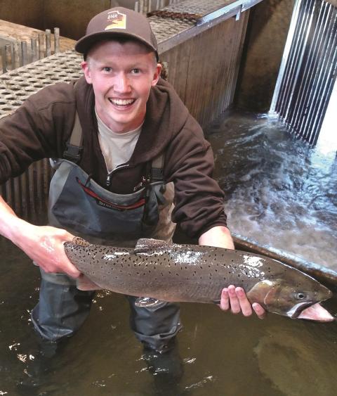 Guy Eroh checks Bear River cutthroat trout as part of his internship with the Utah Division of Wildlife Resources in Salt Lake City, Utah. 
