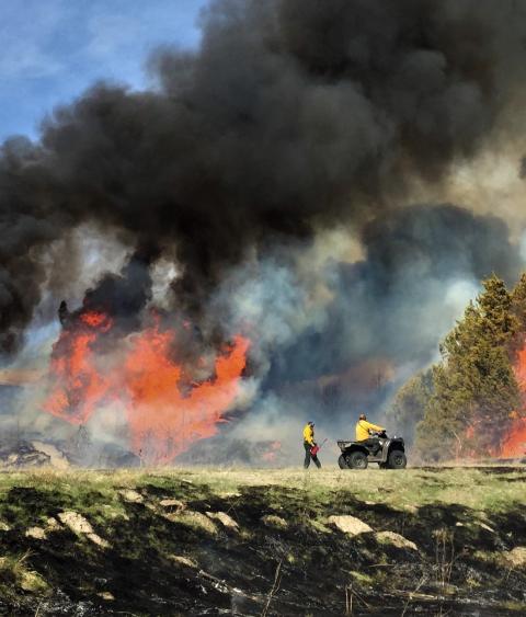 Prescribed burn in progress
