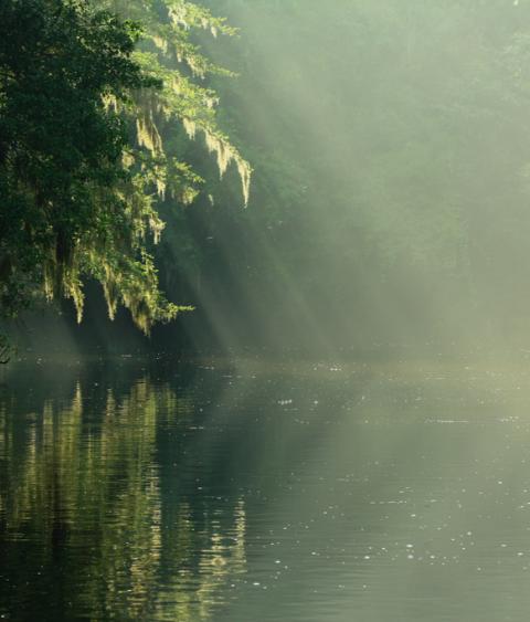Santa Fe River, Florida