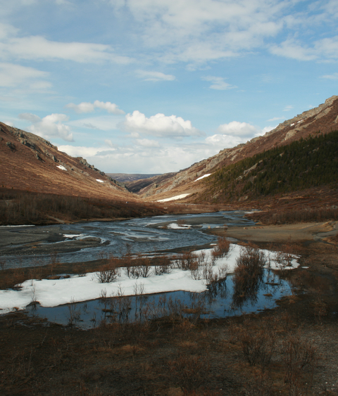 Toklat River in Denali National Park