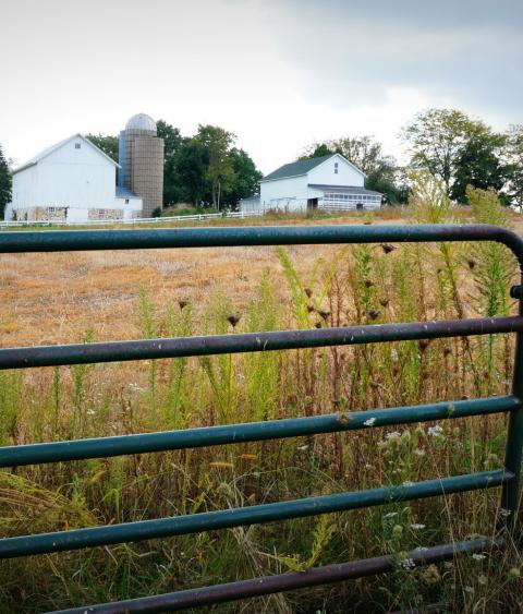 Fenceline with farm in distance