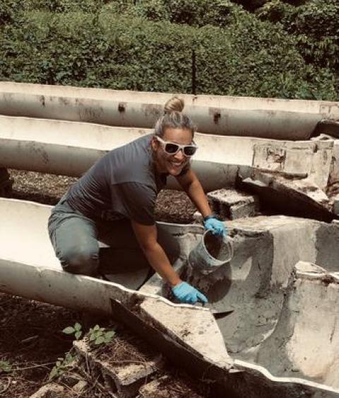 Biologist conducting fieldwork in Puerto Rico