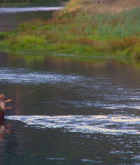 Fishing on public land in Pacific northwest