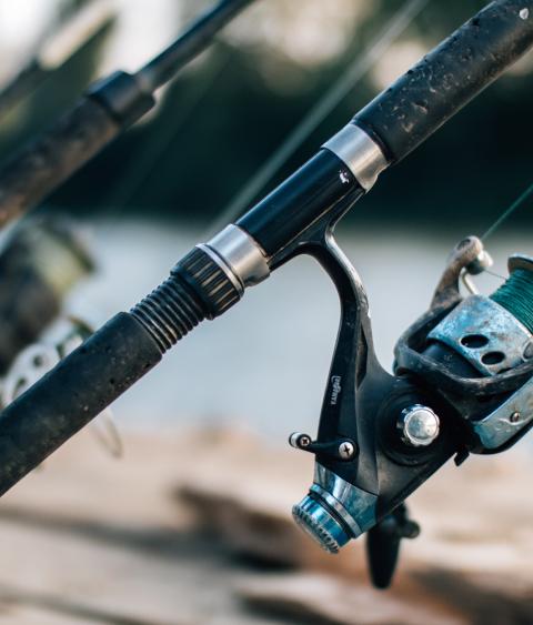 Fishing rods