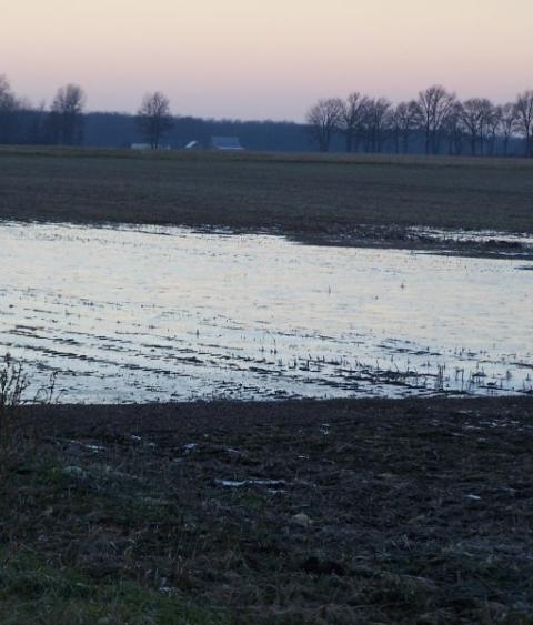Flooded farm field
