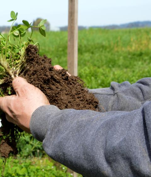 a demonstration of healthy soil practices
