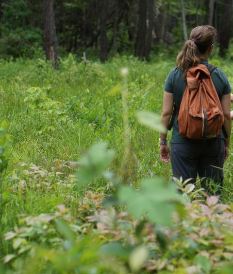 Two people talking on a hike