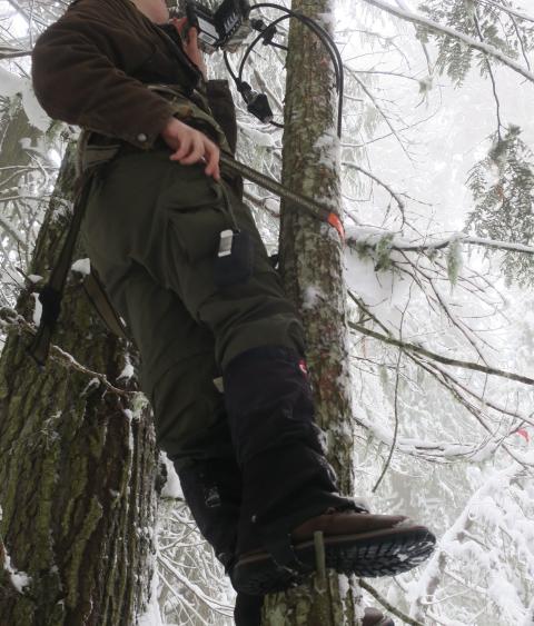 A young woman scales a thin, snow-covered tree and examines a camera tethered to the trunk.