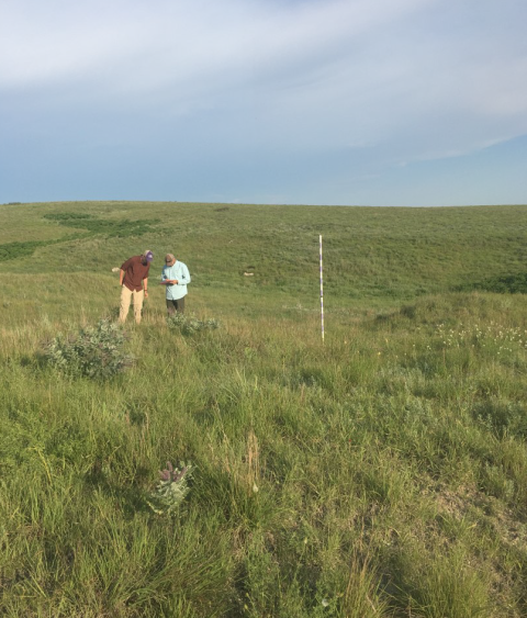 Coop staff conduct research on a Kansas farm