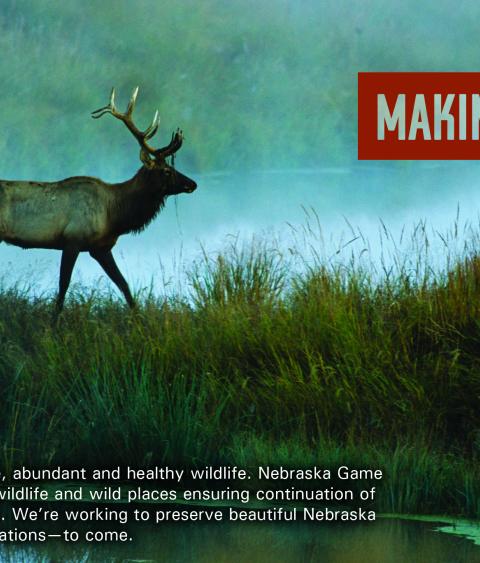 Nebraska used the Making It Last toolkit frame in a multimedia campaign, including this sample print ad. States can select an appropriate image and supporting text for each audience described in the toolkit, based upon what resonates with them.