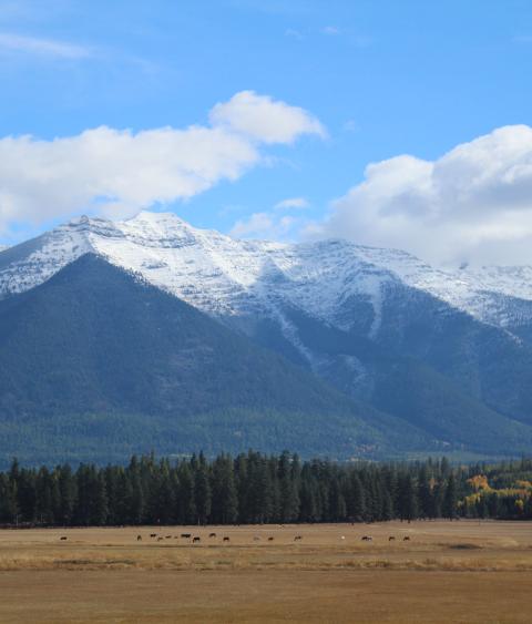 Montana cattle ranch
