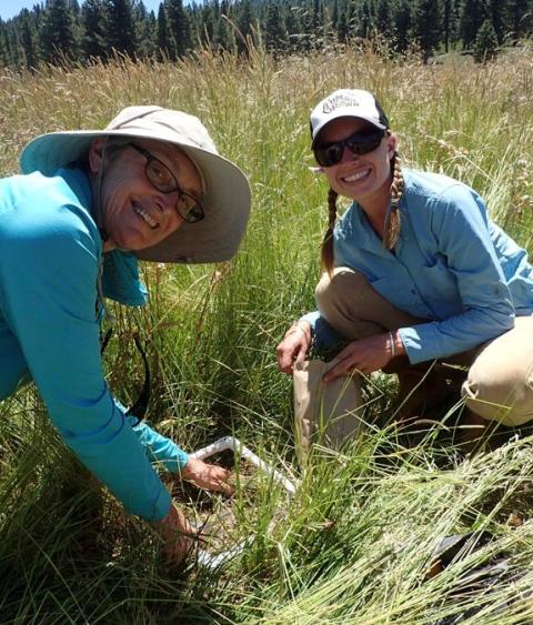University of Nevada, Reno students conduct field tests of native plants for restoration in cheatgrass-invaded rangelands