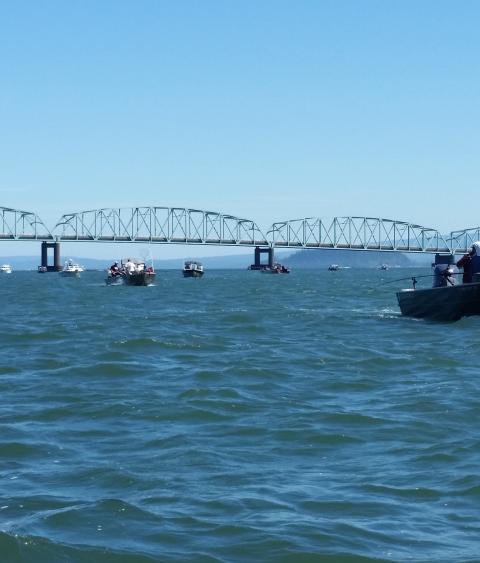Conducting Chinook salmon research on the Columbia River