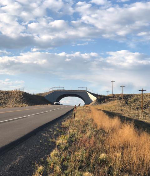 Wildlife overpass on Highway 9 in Colorado 