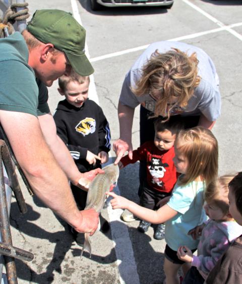 Missouri Department of Conservation staff displays a pallid sturgeon to a group of children