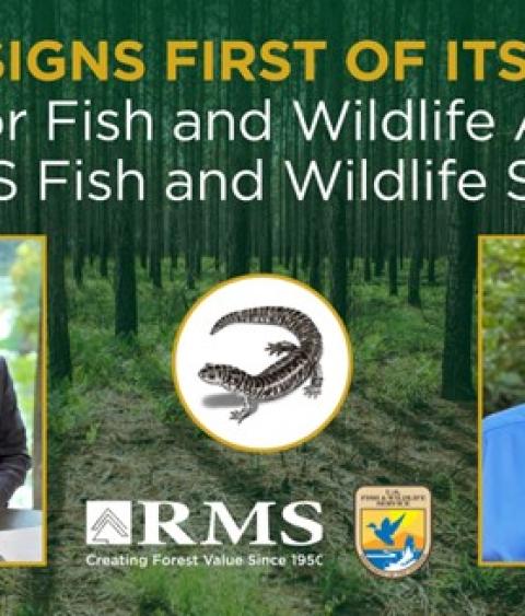 Partners Agreement Infographic