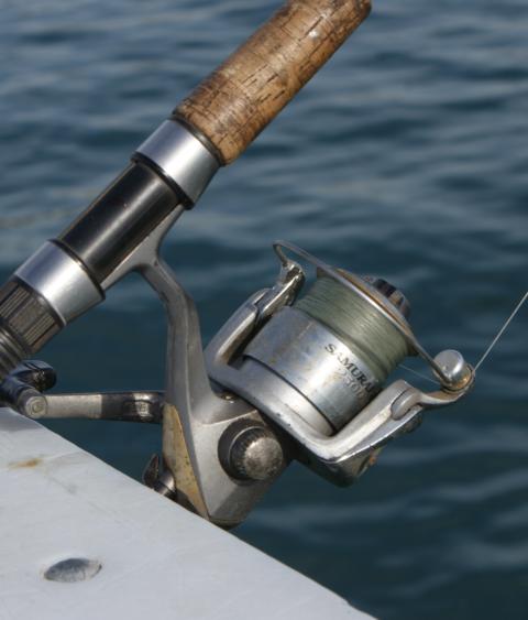Fishing reel