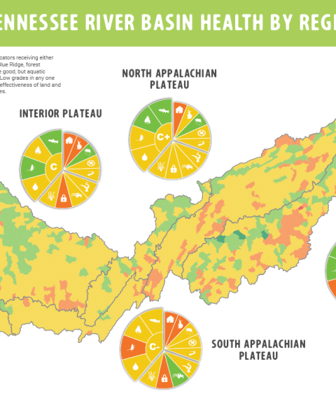 Tennessee River Basin Report Card