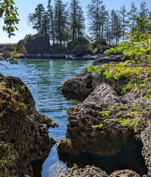 A rocky shoreline near Sault Ste. Marie Michigan. 