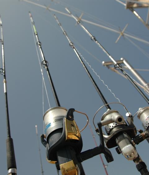 Fishing reels and rods