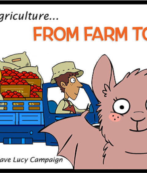 Save Lucy Campaign Banner Image