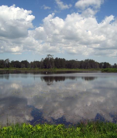 Seney National Wildlife Refuge