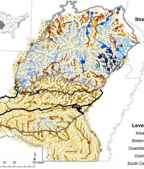 Ozark, Ouachita, and Southeast Coastal Plains Ecoregions