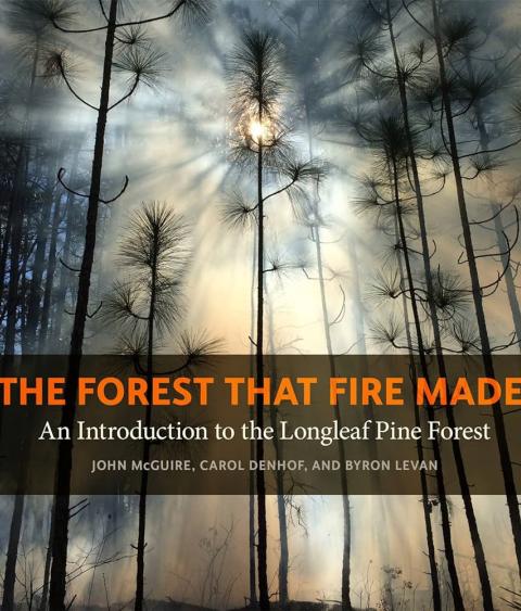 The Forest That Fire Made book cover
