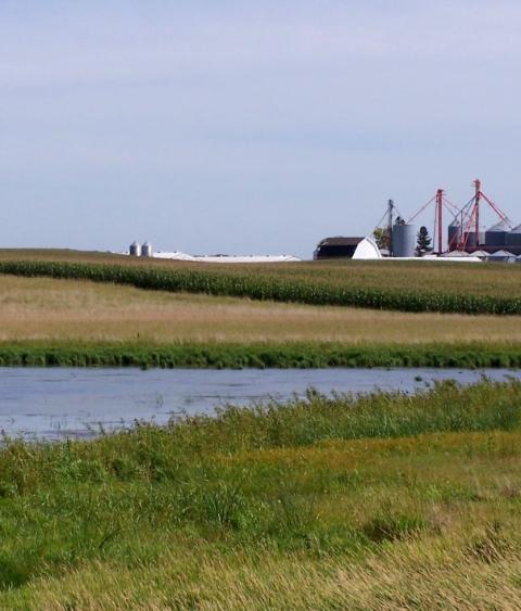 Wetland on an Iowa farm property