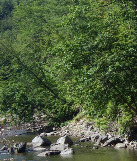 White River in Vermont