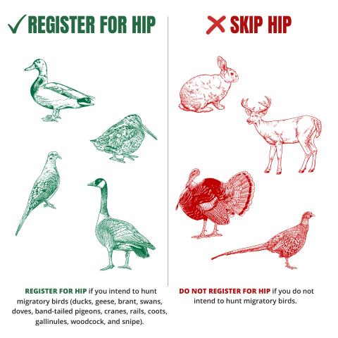 Harvest information program animal illustrations