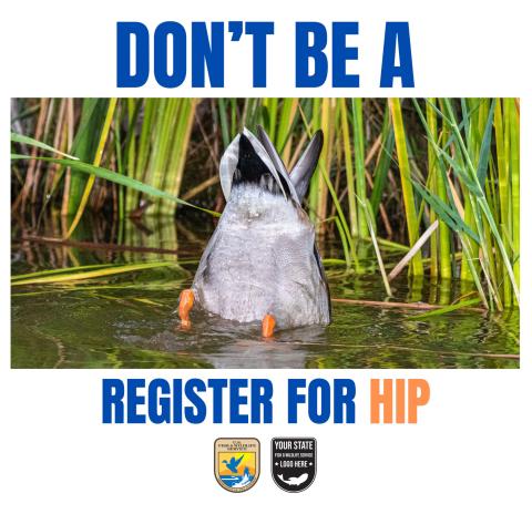 Don't be a  . . . image of duck butt . . . Register for HIP