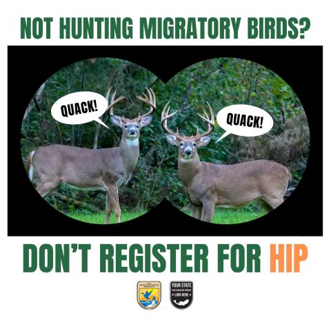 Not hunting migratory birds? Don't register for HIP