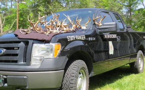 Antlers confiscated from a poaching bust