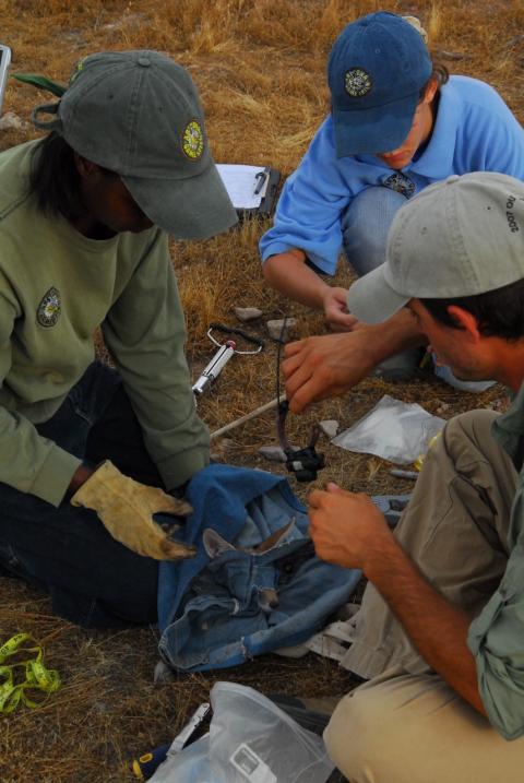 Arizona Game and Fish staff in the field
