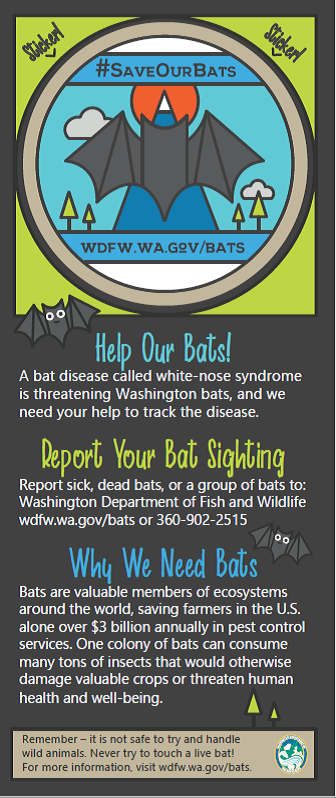 WNS social media campaign materials